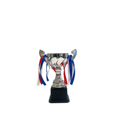 TROPHY SILVER OPEN CUP 16.5CM